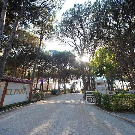 Elesio Golem (Tirana)